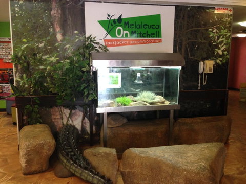 Melaleuca On Mitchell - Darwin YHA - Accommodation Bookings 32