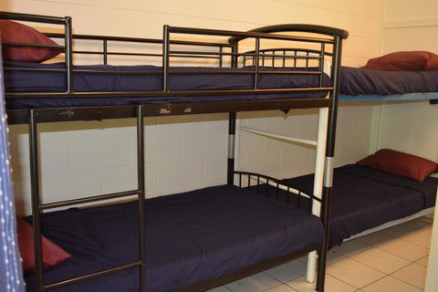 Frogs-Hollow Backpackers - Accommodation Bookings 7