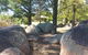 Bonaways - thumb 1
