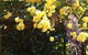 Bowral Road Bed And Breakfast - thumb 0