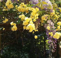 Bowral Road Bed and Breakfast - Accommodation Bookings