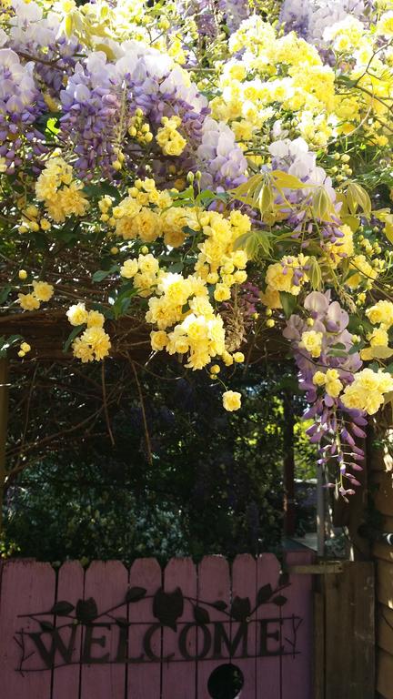 Bowral Road Bed And Breakfast - Accommodation Bookings 0