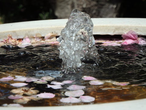 Bowral Road Bed And Breakfast - Accommodation Bookings 2