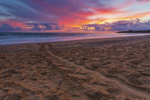 Bundaberg Park Village - Accommodation Bookings 2