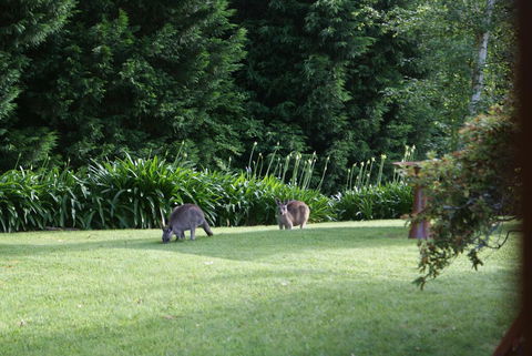 Bundanoon @2578 - Accommodation Bookings 0