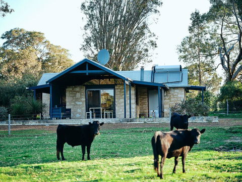 Burnside Organic Farm - Accommodation Bookings 2