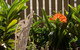 Burwood Bed And Breakfast - thumb 3