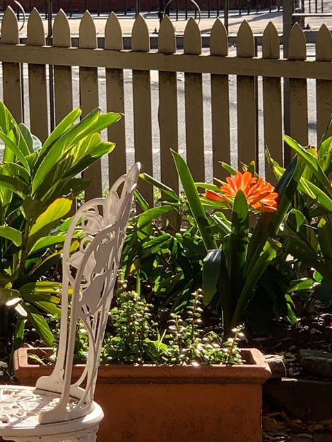 Burwood Bed And Breakfast - Accommodation Bookings 3
