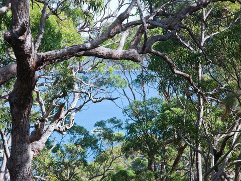 Bynya - 100m To Jonahs! - Accommodation Bookings 1