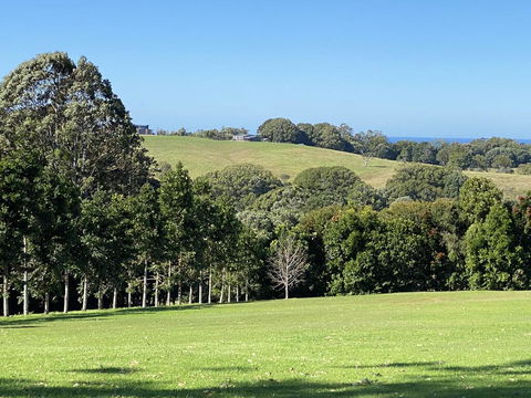Byron Hinterland House - Minutes To Everything! - Accommodation Bookings 0