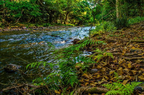 Cairns Homestead: A Peaceful Getaway - Accommodation Bookings 3
