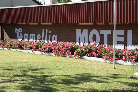 Camellia Motel - Accommodation Bookings 2
