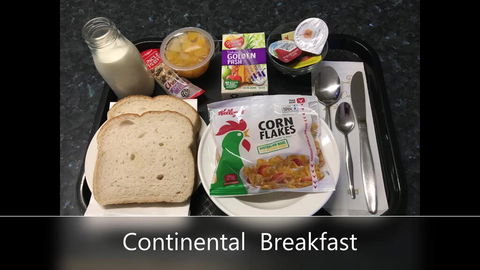 Camellia Motel - Accommodation Bookings 1