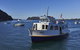 Cape Mackerel Cabin With Magic Palm Beach & Pittwater Views - thumb 2