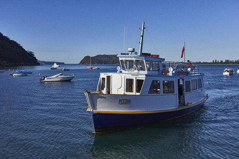 Cape Mackerel Cabin With Magic Palm Beach & Pittwater Views - Accommodation Bookings 2