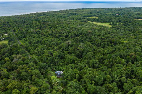 Cape Tribulation Holiday House - Accommodation Bookings 1