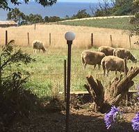 Cape View B and B