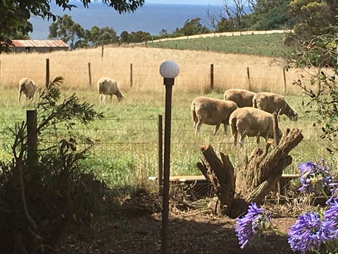 Cape View B And B - Accommodation Bookings 0