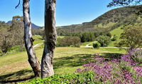 Book Capertee Accommodation Vacations Accommodation Bookings Accommodation Bookings