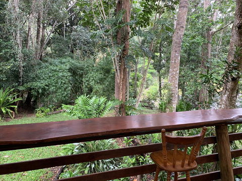 Cedar Park Rainforest Resort - Accommodation Bookings 2