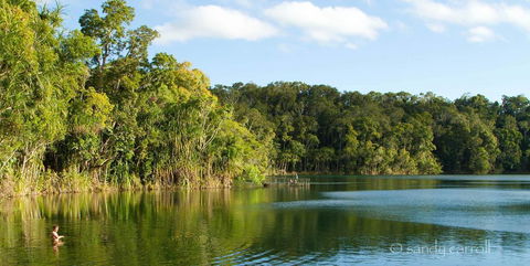 Chambers Wildlife Rainforest Lodges - Accommodation Bookings 1