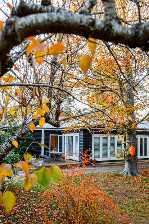 Charming Mountain Cottage - Accommodation Bookings 3
