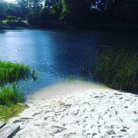 Cloudlake Mountain Retreat - Accommodation Bookings 3