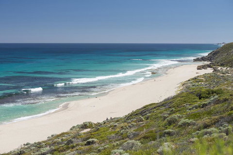 Coleys Beach House Yallingup - Accommodation Bookings 0