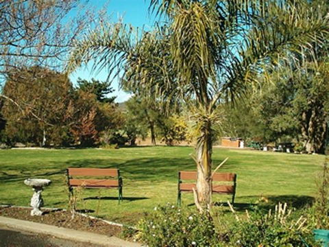 Colonial Inn Motel - Accommodation Bookings 1