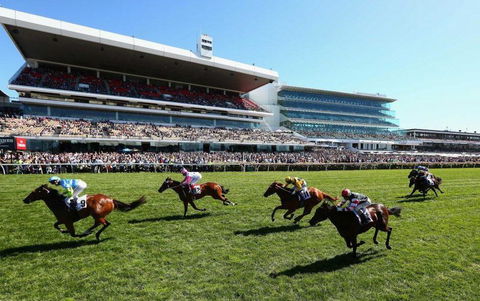 Comfy 2BR Suite Near Flemington Races, FREE Parking - Accommodation Bookings 2