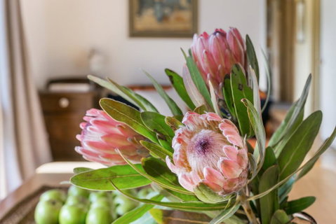 Cooee Cottage - Accommodation Bookings 0