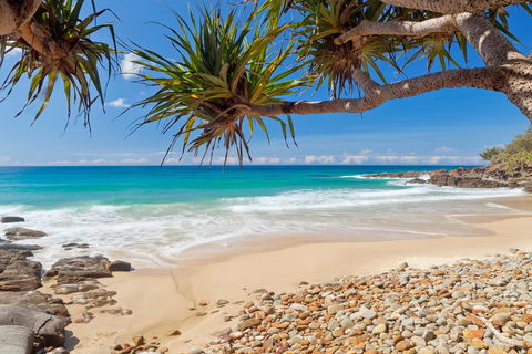 Coolum Classic Beach Shack - Pet Friendly - Accommodation Bookings 0