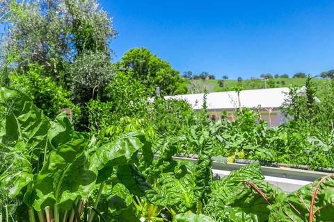Coorabell Cottages - Accommodation Bookings 3