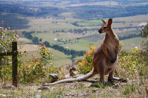 Corroboree Spa Cabin- Eaglereach - Accommodation Bookings 1