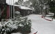 Cottonwood Lodge - thumb 0