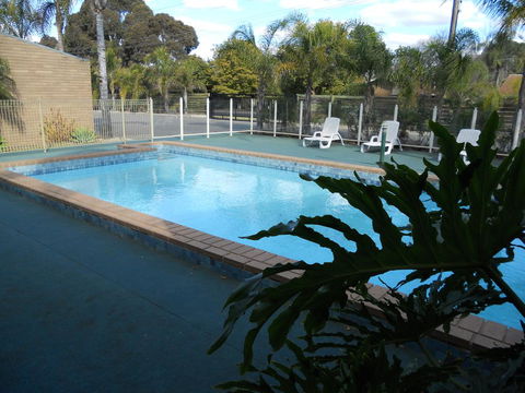 Cottonwood Motor Inn - Accommodation Bookings 0