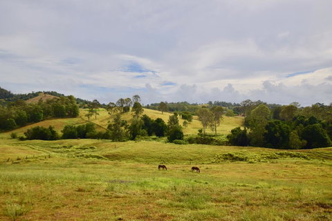 Country Breeze Farm Stay - Accommodation Bookings 0