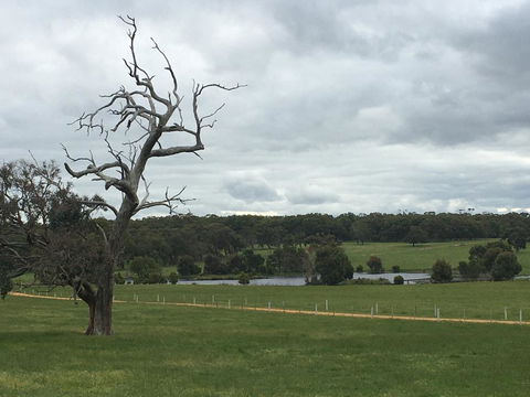 Country Farm House Close To Ballarat - Accommodation Bookings 1