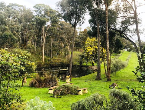 Countryside Retreat Intimate Studio Hepburn - Daylesford - Accommodation Bookings 0