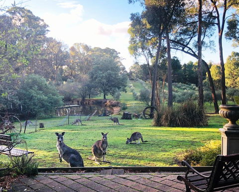 Countryside Retreat Spa Cottage Hepburn - Daylesford - Accommodation Bookings 0