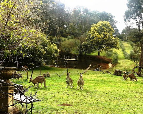Countryside Retreat Spa Cottage Hepburn - Daylesford - Accommodation Bookings 1