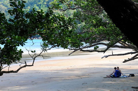 Cow Bay Homestay B&B - Accommodation Bookings 1