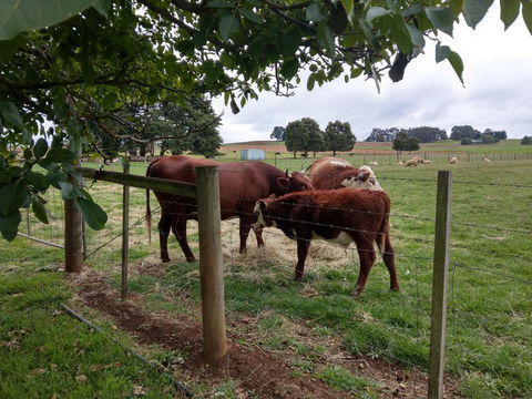 Cradle At Casa Blanca Country Retreat - Accommodation Bookings 3