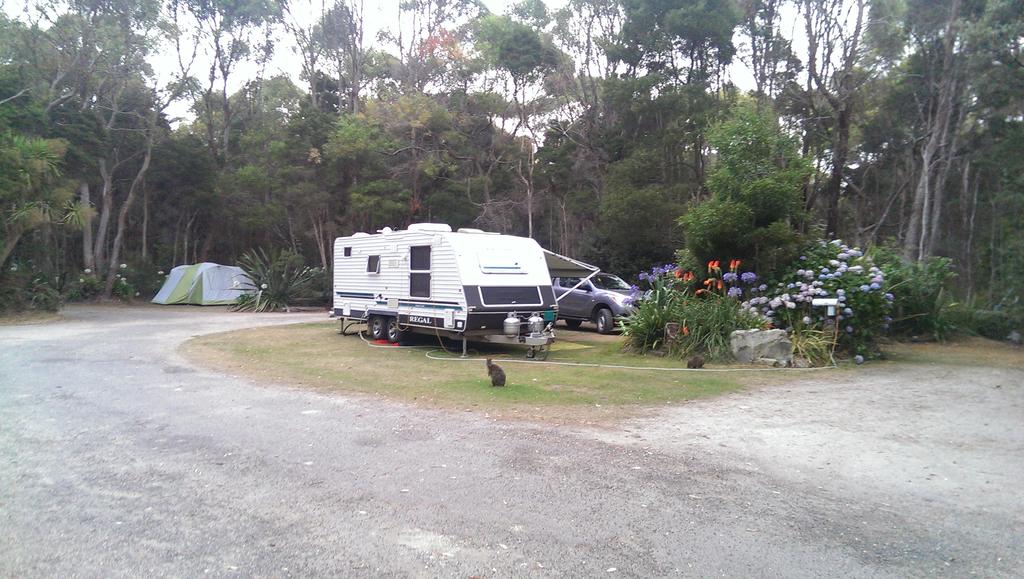 Crayfish Creek TAS Accommodation Bookings