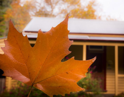 Creek Cottage - Accommodation Bookings 3