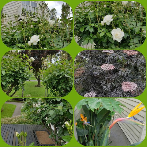Creek Cottage Bed And Breakfast - Accommodation Bookings 3