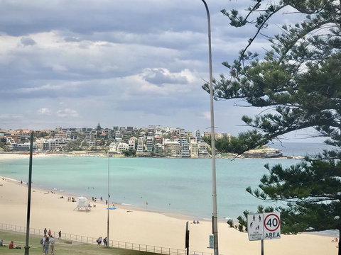 D'Luxe Designer Den Bondi-Ocean View Apartment - Accommodation Bookings 1