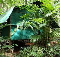 Daintree Crocodylus - Accommodation Bookings