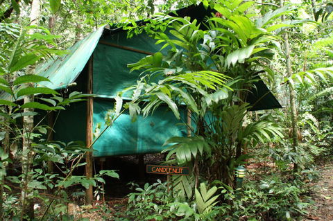 Daintree Crocodylus - Accommodation Bookings 0