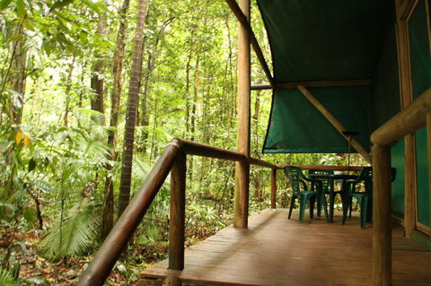 Daintree Crocodylus - Accommodation Bookings 1
